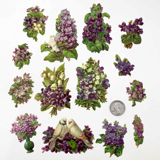 Beautiful Violets Loose Flowers Paper Scrap Pack